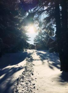 Uludag Orman Koskleri - 14