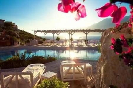 Peninsula Gardens - Adults Only - 18