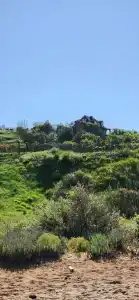 Замок грез - 95