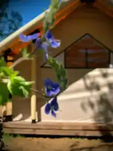 Серебряный Ключ - 37