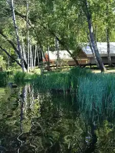 Серебряный Ключ - 35