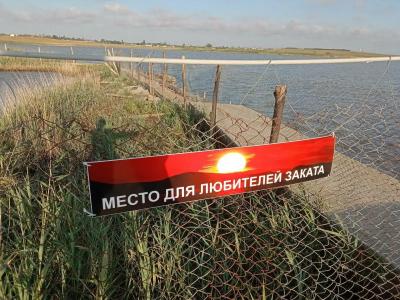 Фрунзенец - 36