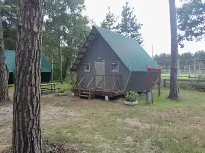 Медведь - 20