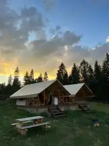 Замульта кемп - 9
