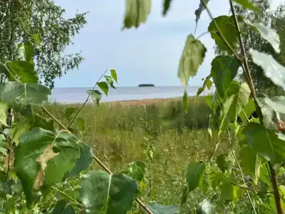 Три Берега - 15