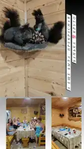 Лесная поляна - 53