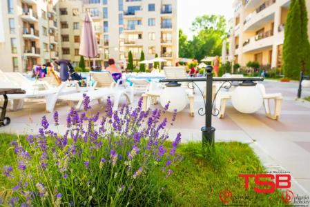 Tsb Sunny Victory - 90