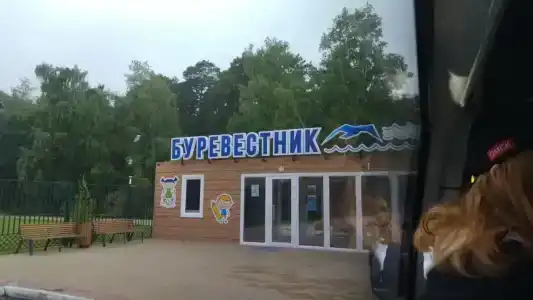 Буревестник - 47