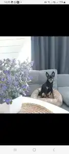 Ягренево парк - 5