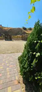 Вариант Омега - 23