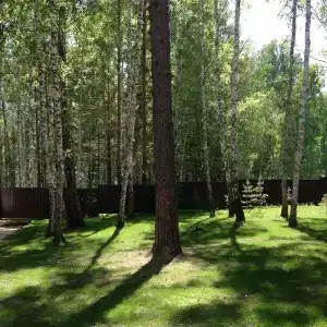 Сибирская Жемчужина - 43