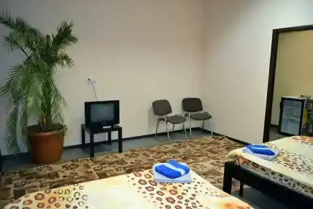 Ласточкино гнездо - 47