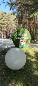Градостроитель - 59