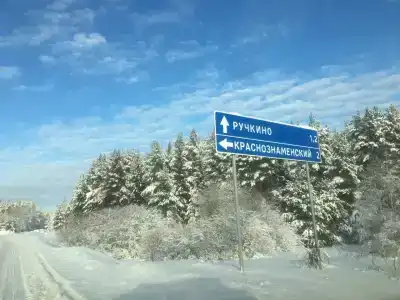 Кедросад - 31