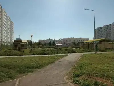 Орхидея - 6