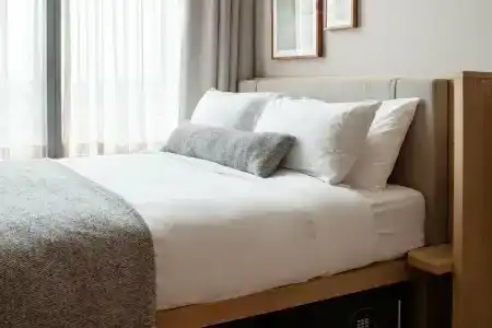 Wren Urban Nest - 11