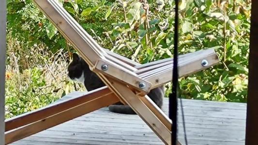 Гостевой дом - 23