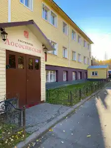 Лососинская - 10