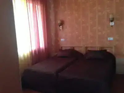 Алиса - 35