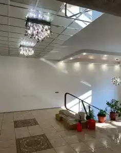 АСВ - 5