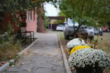 Тихая заводь - 67