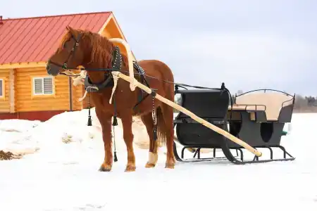 Четыре Сезона - 28