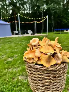 Капитанский Остров 57 - 28