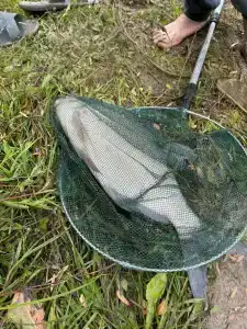 Капитанский Остров 57 - 35