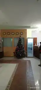 Каргополь - 45