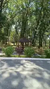 Чардым-Дубрава - 34