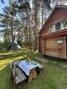 Дача в соснах - 32