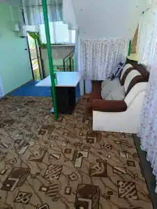 Голуби - 21
