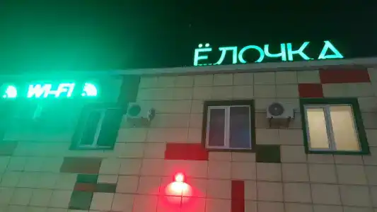 Ёлочка - 5