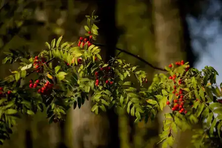 Тёплое озеро - 45