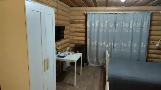 Троицкий - 35