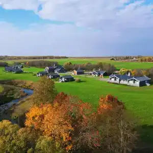 Новое Волосово - 1