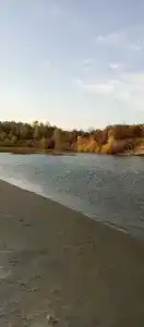 Магистраль - 67