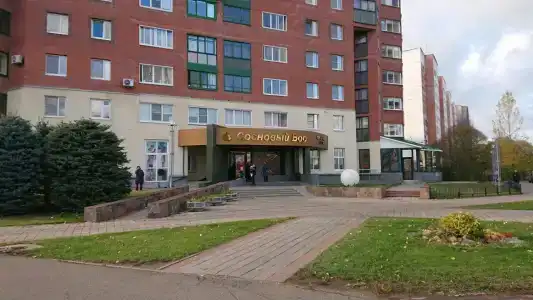 Сосновый Бор - 8