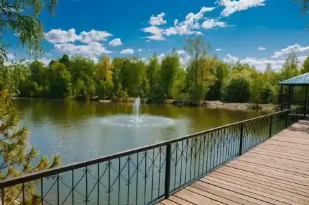 Фантазия - 4