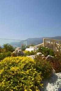 Peninsula Gardens - Adults Only - 31