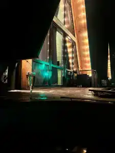 Богатый лес - 9