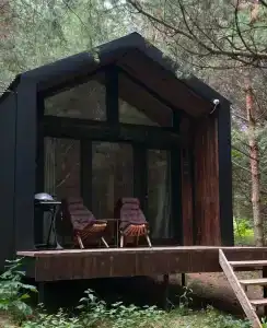 Сосны. Пространствие - 69