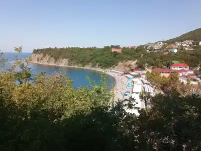 Бетта - 21