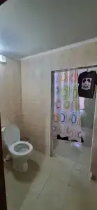 Тюльпан - 38