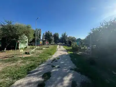 Вишневый сад - 21