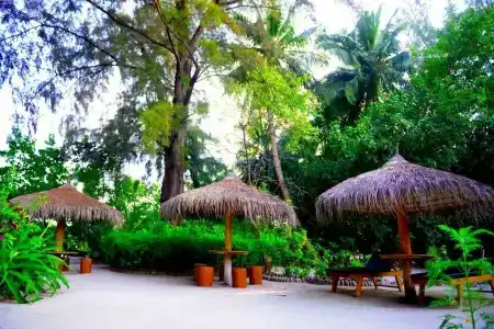Biyadhoo Island Resort - 49