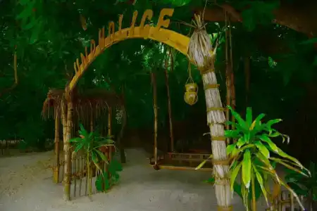 Biyadhoo Island Resort - 9