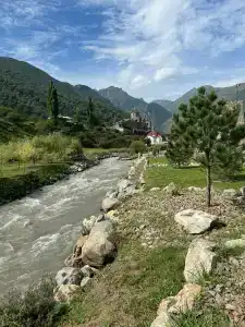 Арфан - 26