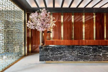 Hilton Garden Inn Nyc Financial Center/Manhattan Downtown - 89