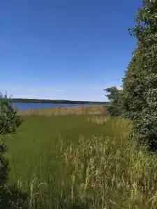 Белое озеро - 56